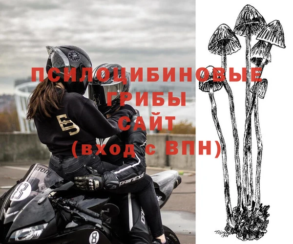 трава Среднеуральск