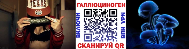 darknet Telegram Усолье Галлюциногенные грибы Psilocybe